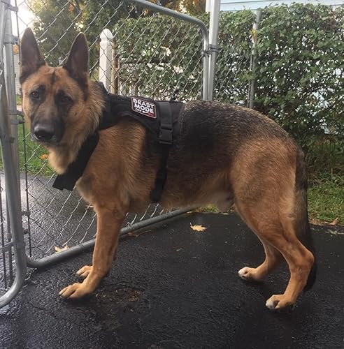 Miniatura 5 de Modo Bestia en Parche Táctico