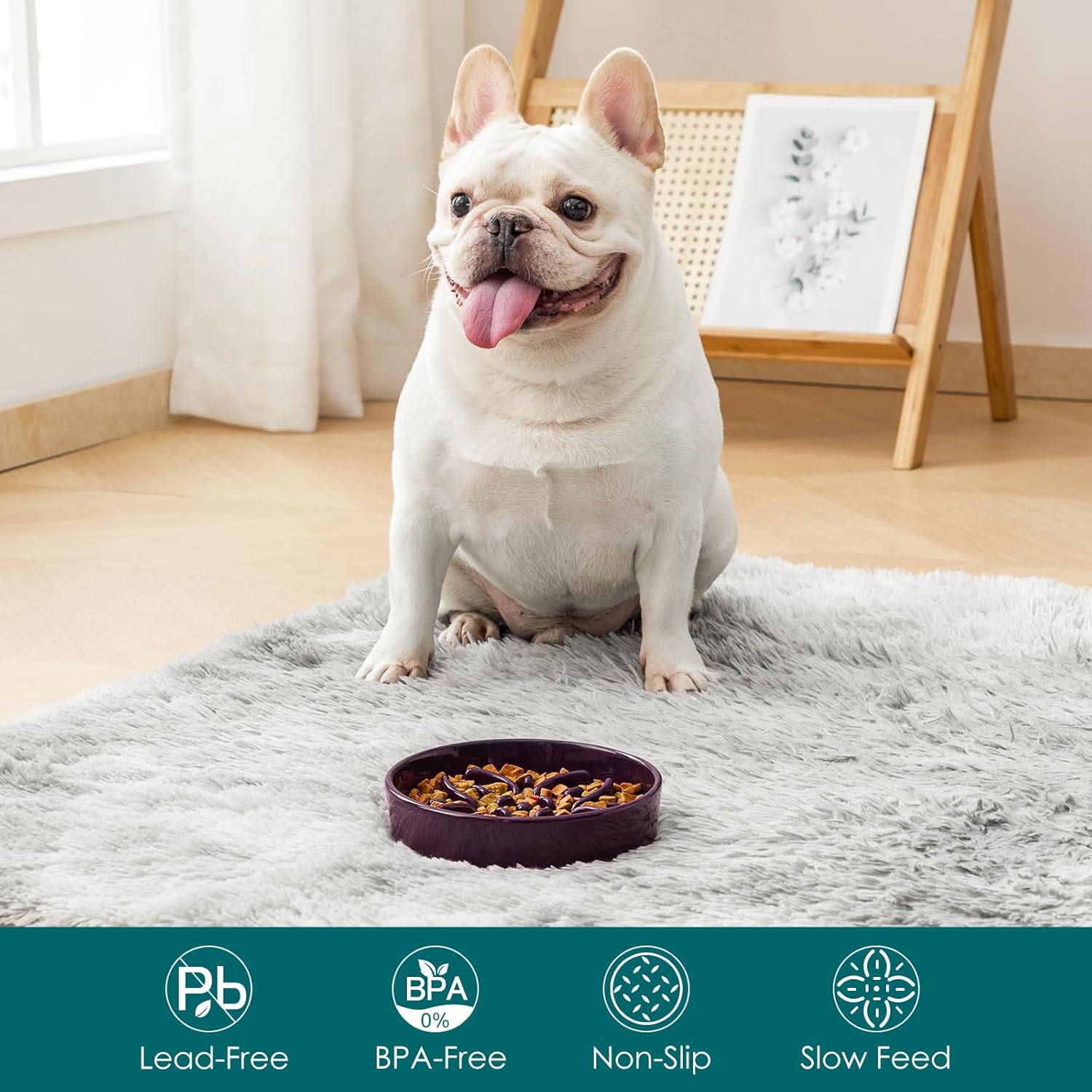 Transform Mealtime: Vancasso Floral Slow Feeder Bowls for Happy, Healthy Dogs!