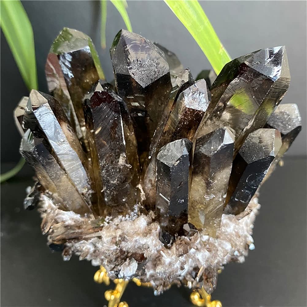 モリオン クラスター 430g