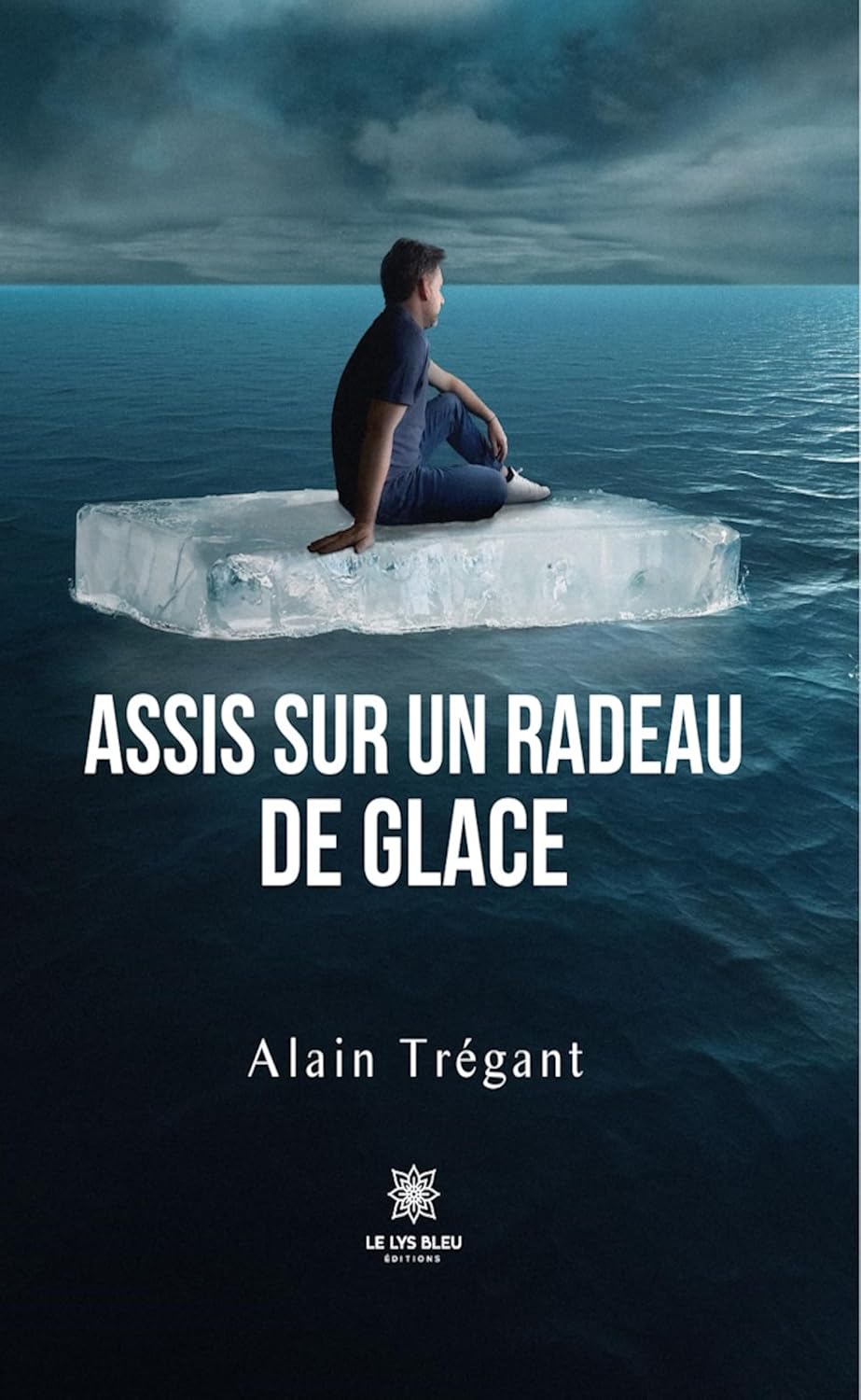 Assis sur un radeau de glace (French Edition)
