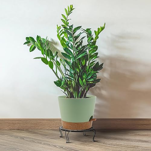 Miniatura 5 de UOUZ Maceta de riego automático de 12 pulgadas, macetas de plástico para plantas y flores de interior, verde con marrón