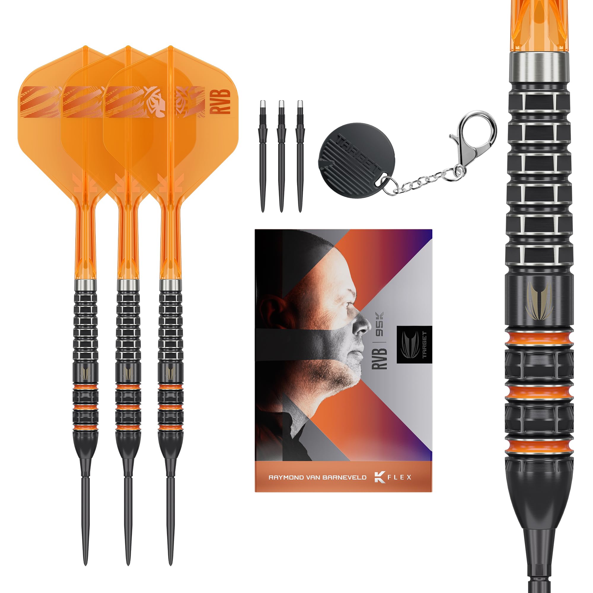 Target Darts Raymond van Barneveld Steel Tip 95% Tungsten Swiss Points, 21G