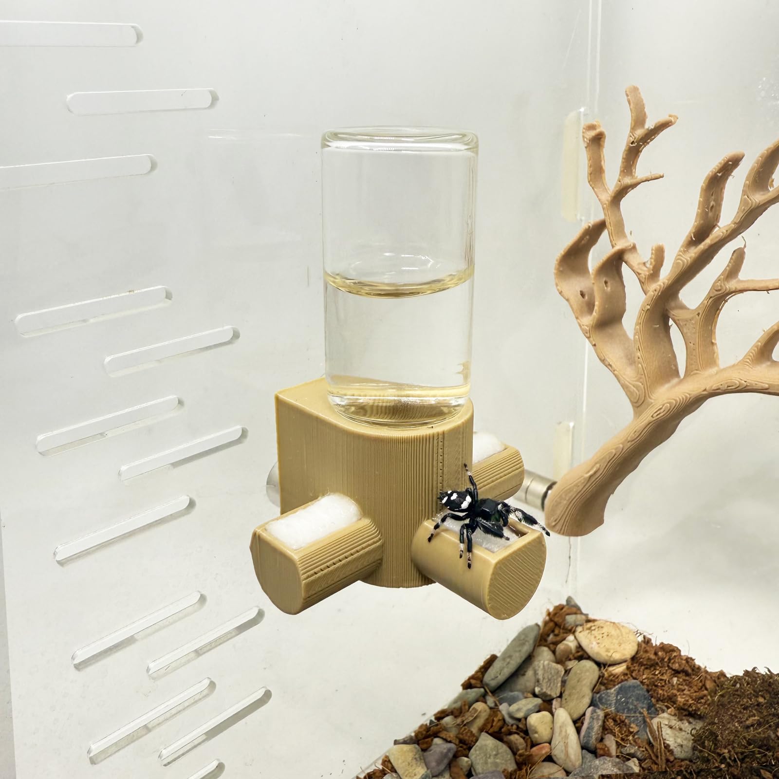 Jumping Spider Water Dispenser, Magnetic Hanging Feeder,Suitable for Jumping Spiders,Tarantulas, Praying Mantises,Arboreal Animals, and Other Small