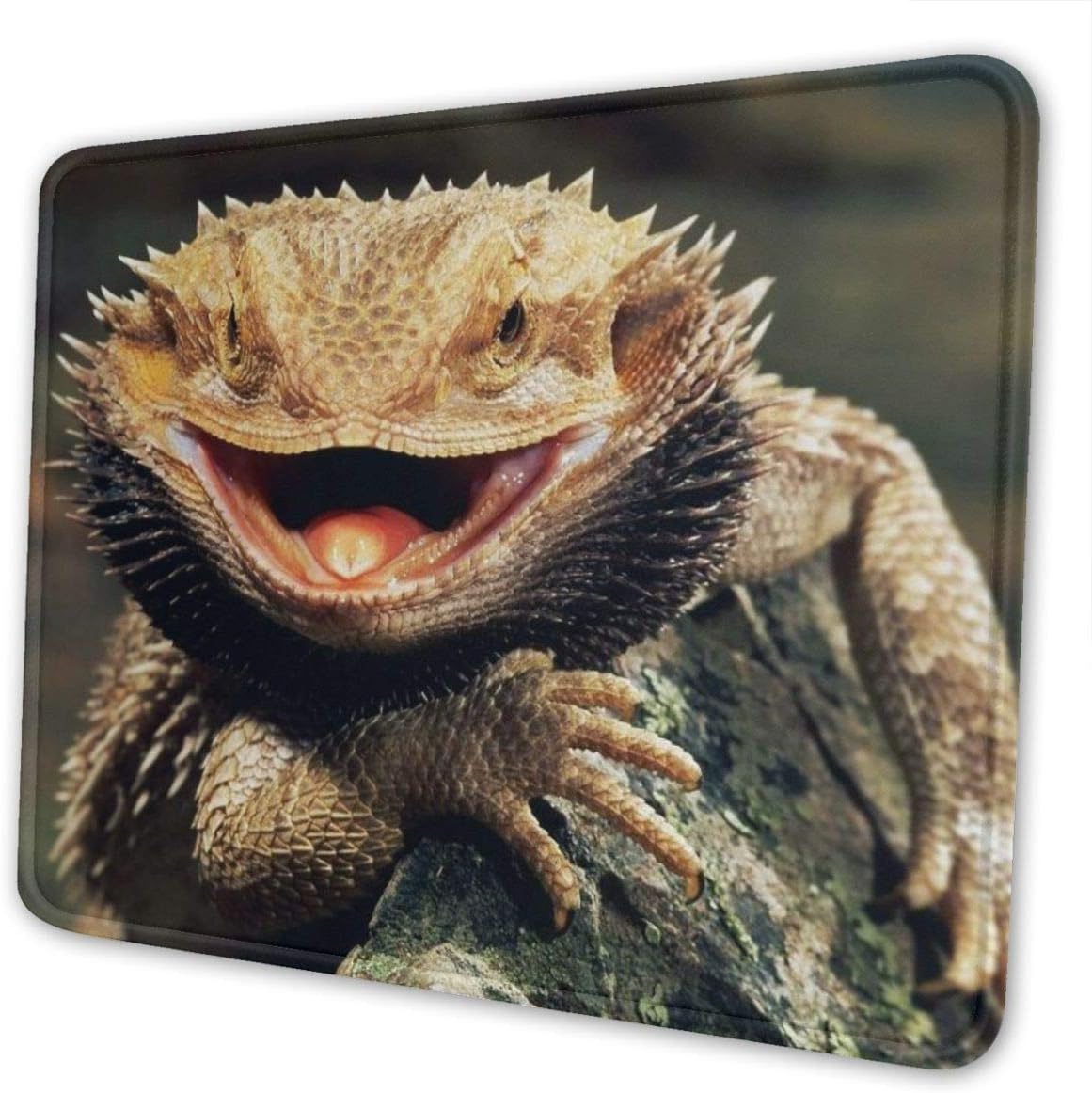 rubber bearded dragon