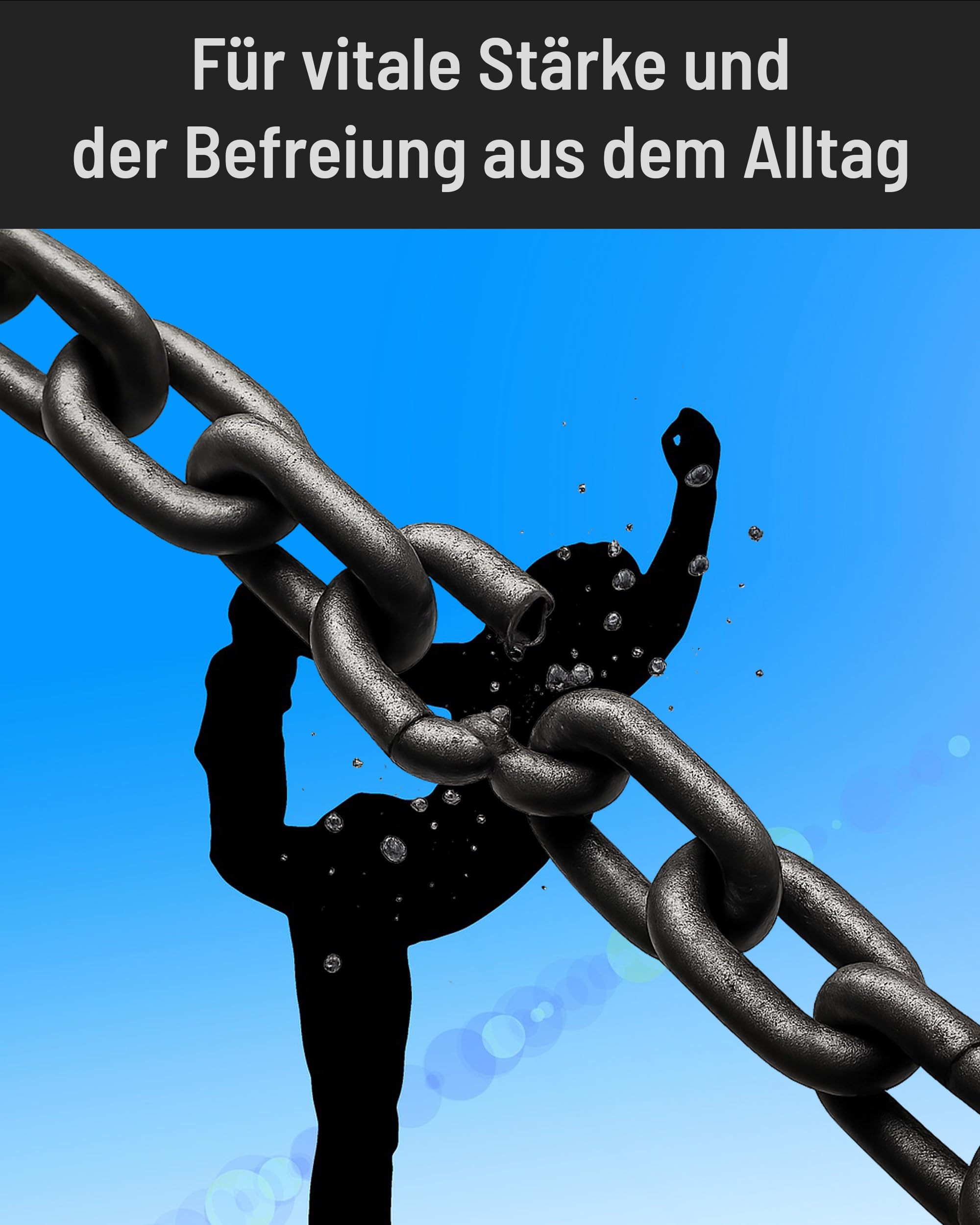 Schlagwerk Einklang Windspiel Tageston 80 cm - 6 Röhren, lang anhaltender Klang - Aluminium - Exakt gestimmt Frenquenzen mit Naturton-Reihe - Meditation - Entspannung - Vitale Stärke