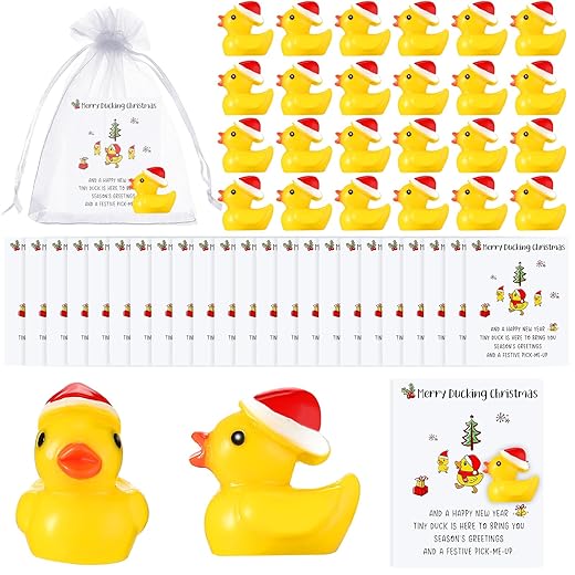 Jenaai 50 Sets Christmas Inspirational Gift Include 50 Mini Resin Ducks with Christmas Hat 50 Cheer up Cards 50 Organza Bags Bulk Pocket Favors for Students Coworkers Employee Thank You Gifts