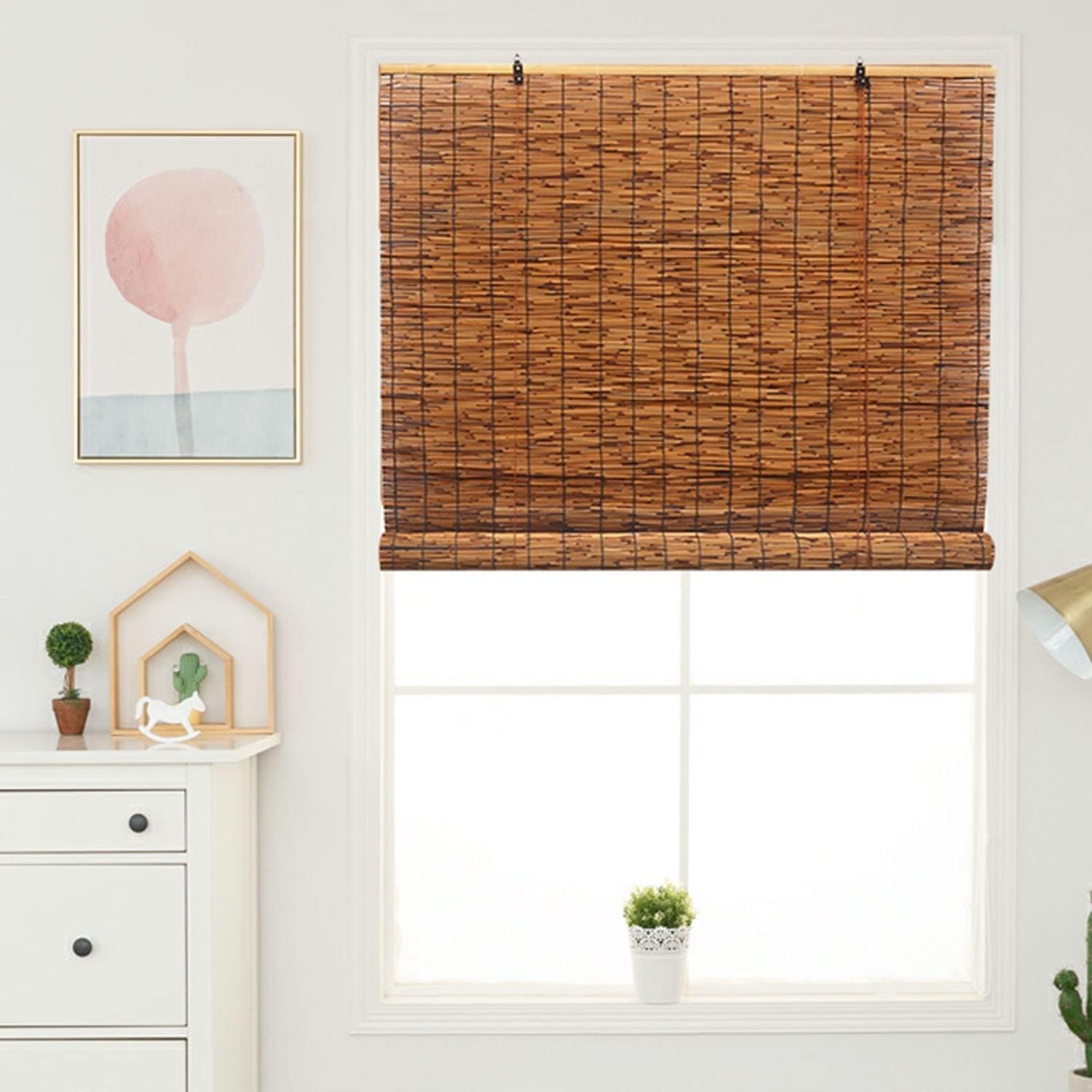 Natural Bamboo Roll Up Shades for Windows, Cordless Reed Blinds 48'' W X 69'' H 62