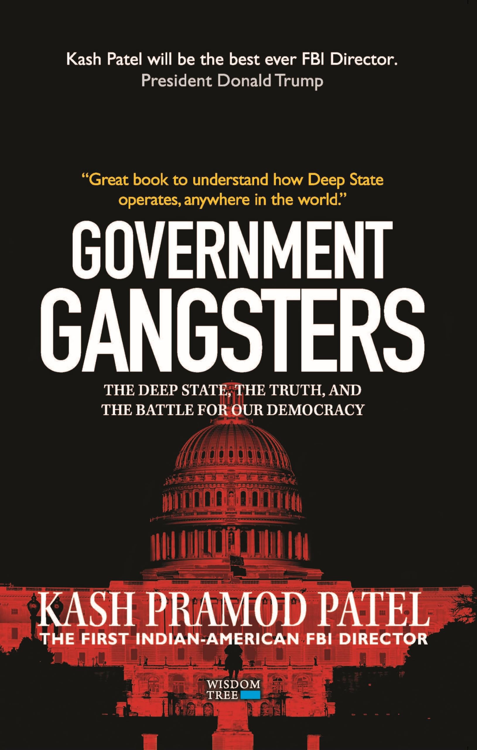 Government Gangsters: The Deep State, the Truth, and the Battle for Our Democracy