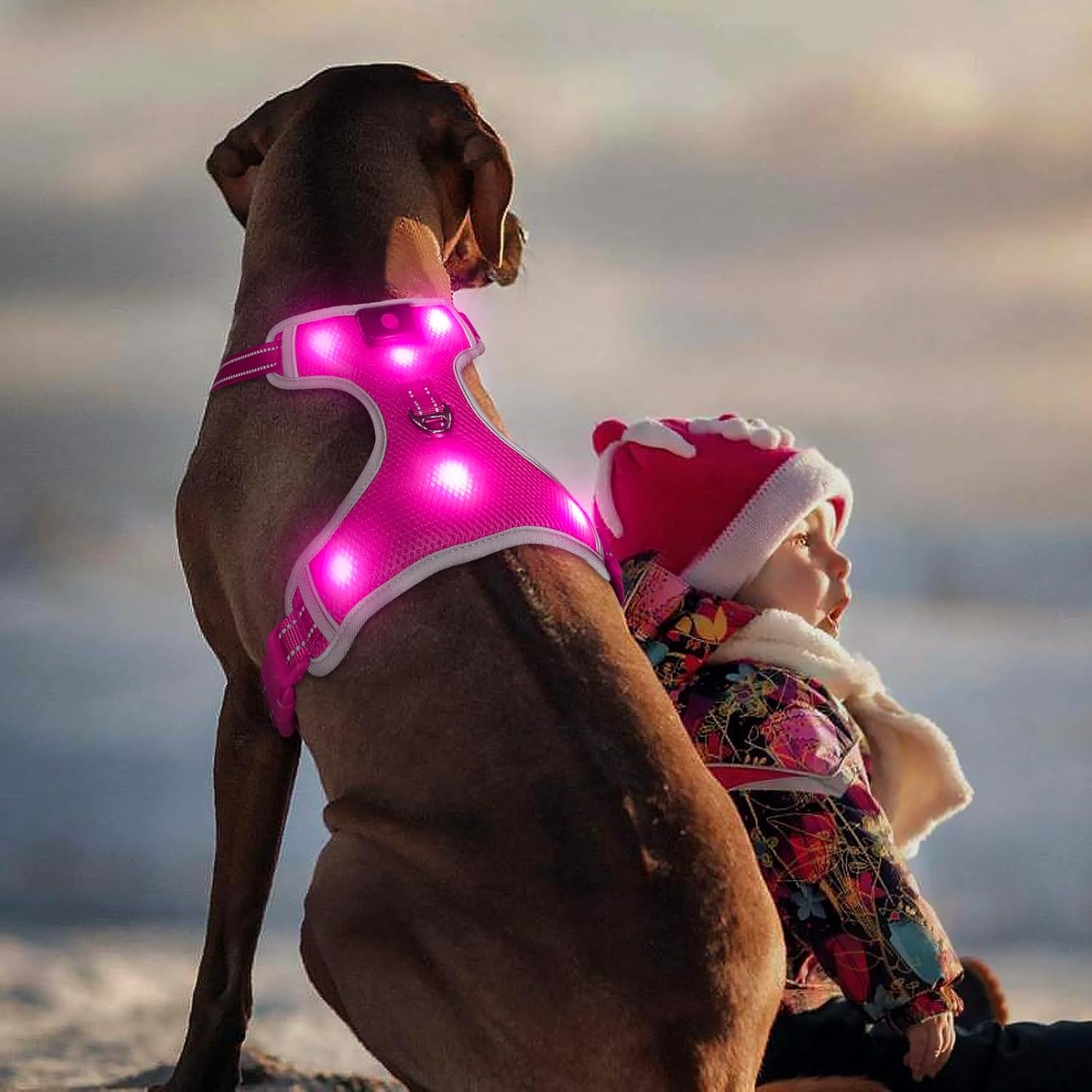 Light Up Dog Harness - BSEEN No-Pull LED Dog Harness Rechargeable - Glow in the Dark Pet Walking Vest for Small Dogs, Reflective Puppy Safety Lights for Night Walking (Pink, Small)