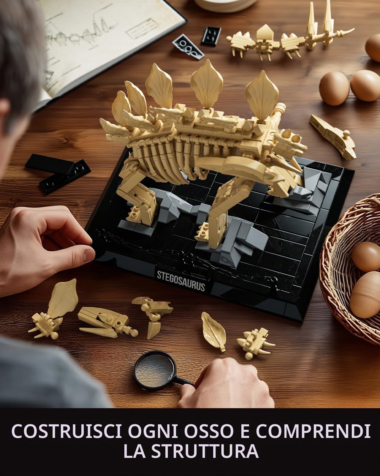 Nifeliz Set di modelli di fossili di stegosauro, scheletro di dinosauro, con base espositiva, per adulti, regalo ideale per appassionati e collezionisti (665 pezzi, NF10353)