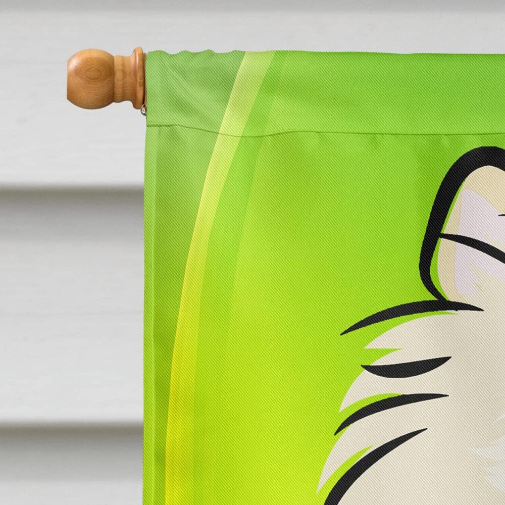Caroline's Treasures BB1951CHF Pomeranian St. Patrick's Day House Flag Large Porch Sleeve Pole Decorative Outside Yard Banner Artwork Wall Hanging, Polyester, House Size, Multicolor