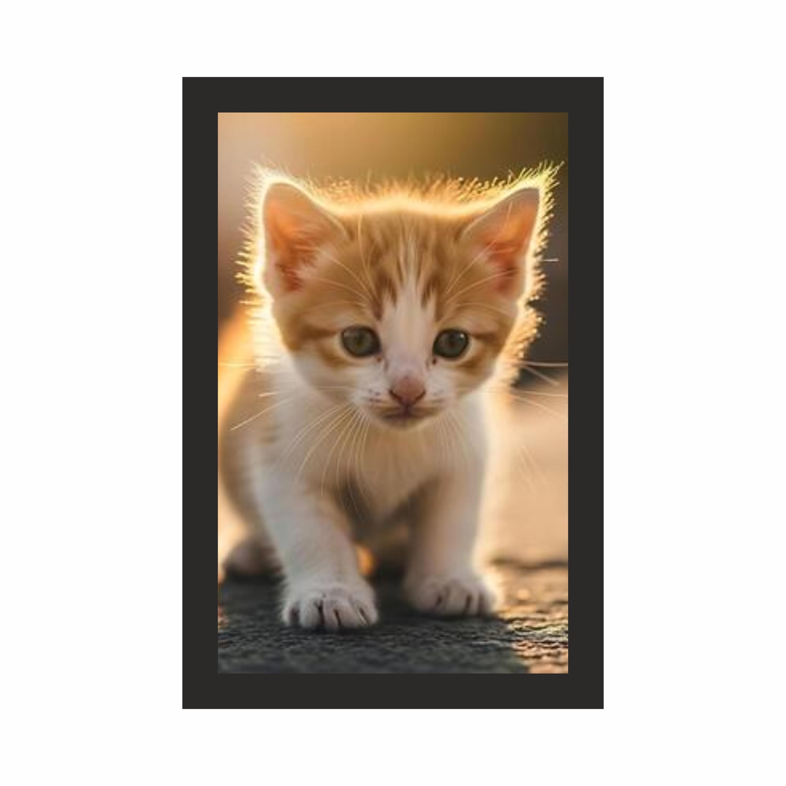 Cute Kitten Wall Art Frame 12x18 Inch