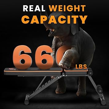 Dskeuzeew Weight Bench, 660 LB Stable Workout Bench, 8 backrest adjustments, Adjustable Strength Training Bench for Full Body Workout with Fast Folding (Black)