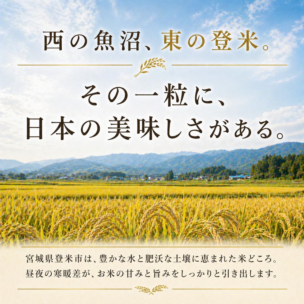 Amazon.co.jp: ◇令和6年産 / 2024年産 宮城県産◇ 【玄米30kg】 つや