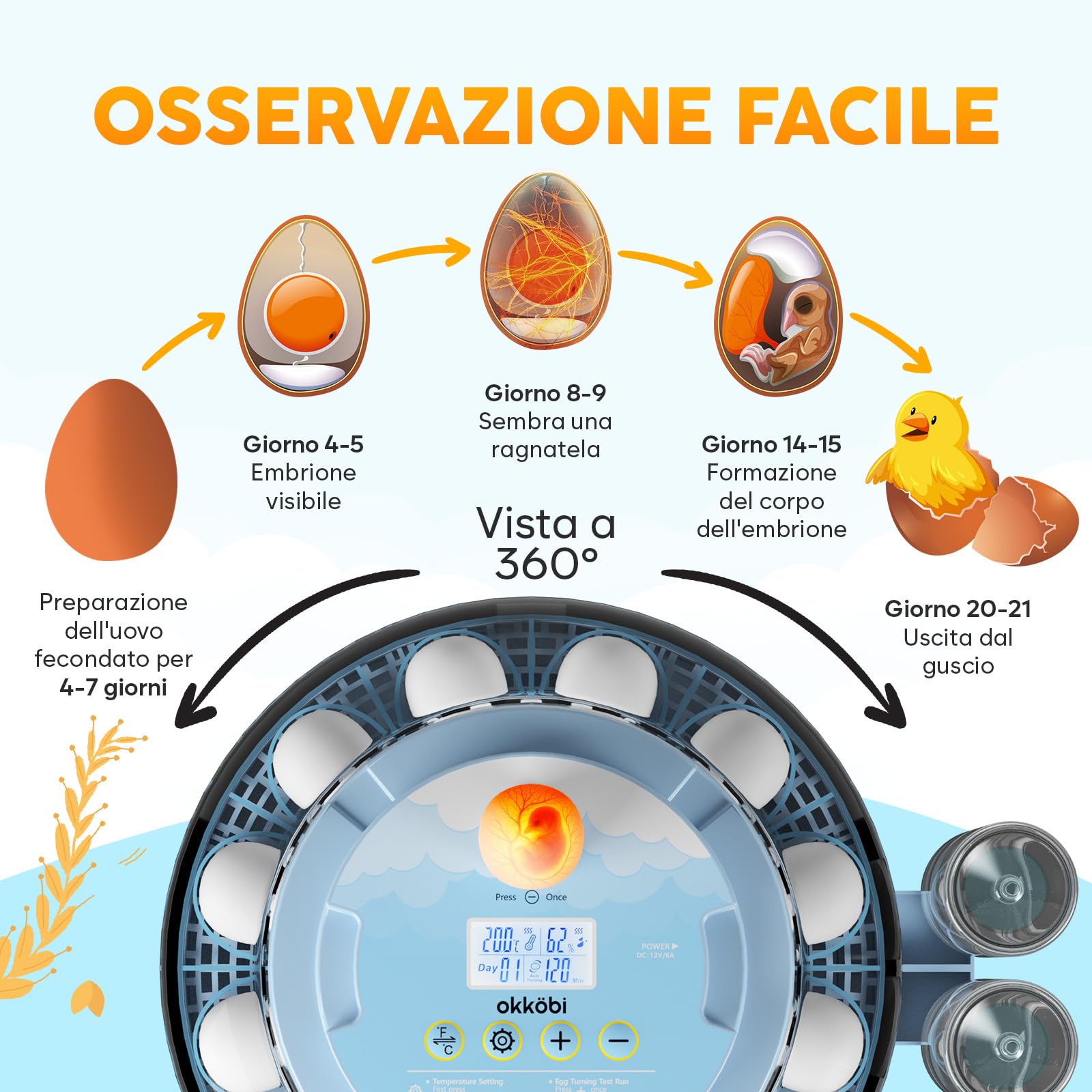 Incubatrice per Uova Automatica 18 Uova – Incubatrice Uova con Rotazione Automatica, Controllo Umidità, Bottiglie d’Acqua, Ventilazione, Visualizzazione 360° e Mire-uovo Integrato