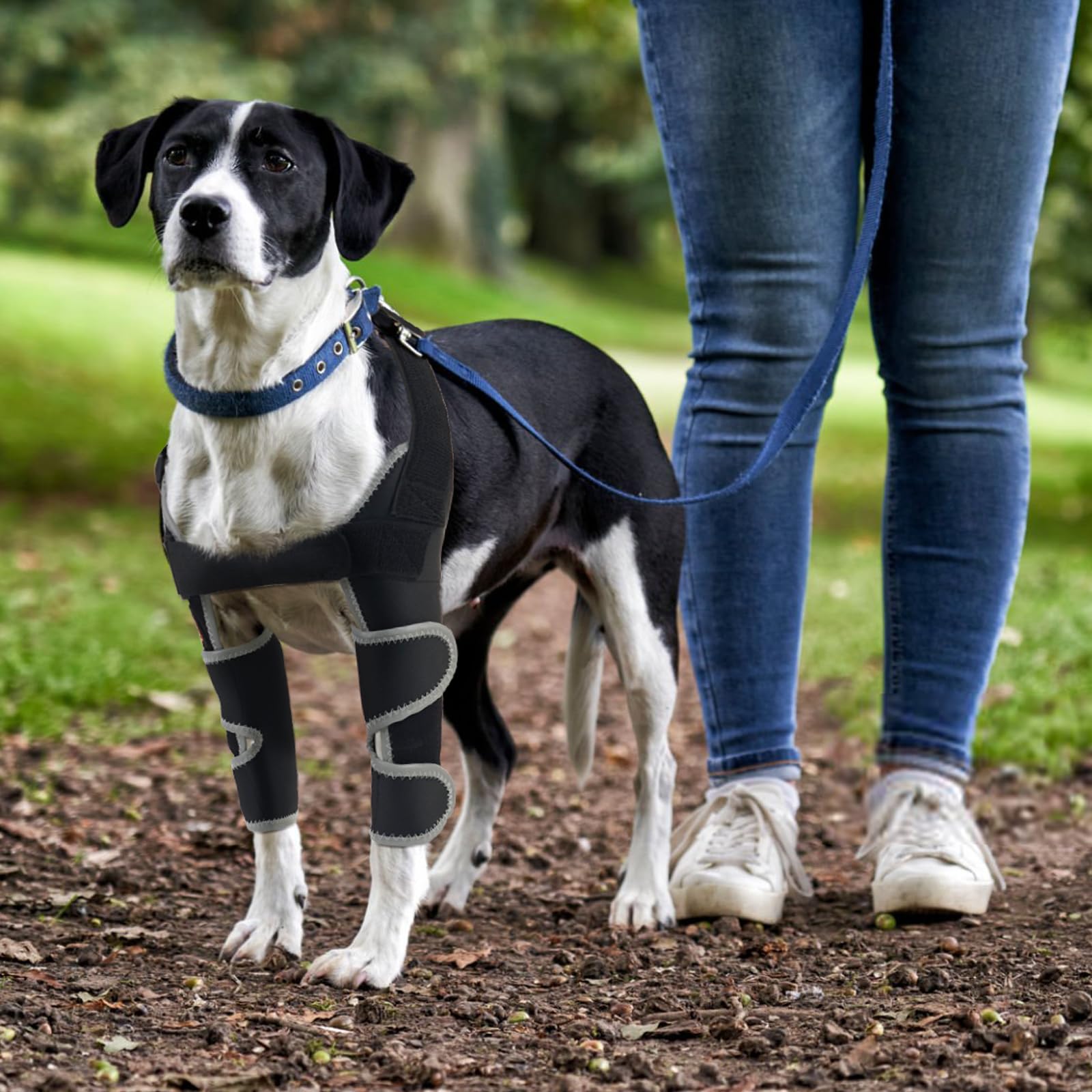LISPOO Dog Elbow Brace for Shoulder & Front Leg, Canine Elbow Wrap for Shoulder Dislocation Pressure Sores - Image 2
