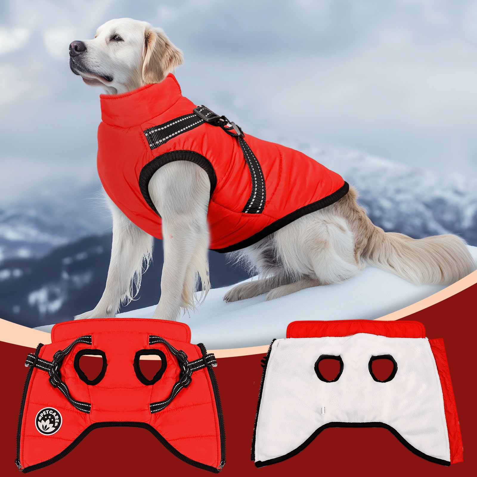 https://m.media-amazon.com/images/I/71pQyXis6OL.jpg