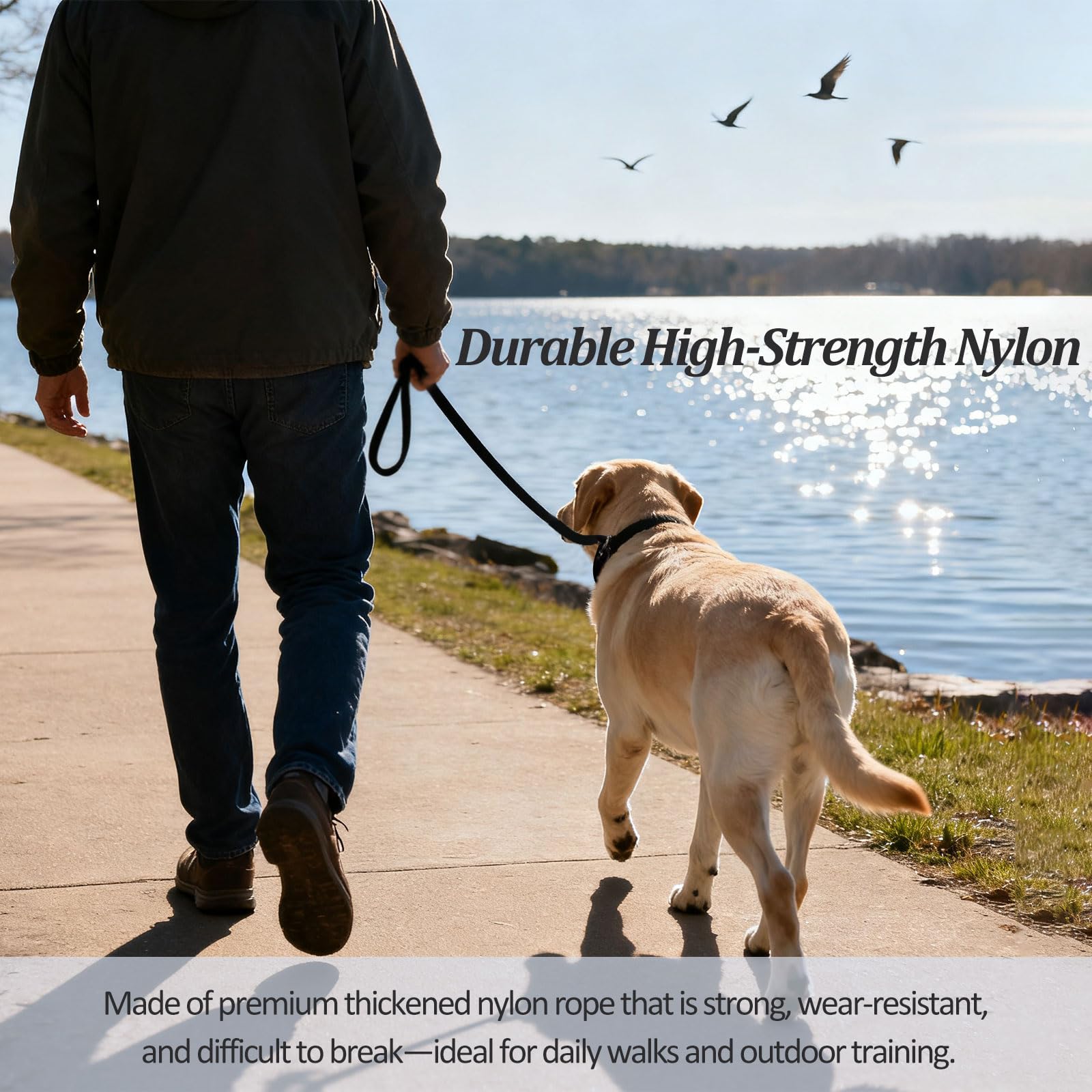 2-Pack Adjustable Nylon Slip Dog Lead – Collar-and-Leash Integrated Design for Training (Black/Blue) - 4