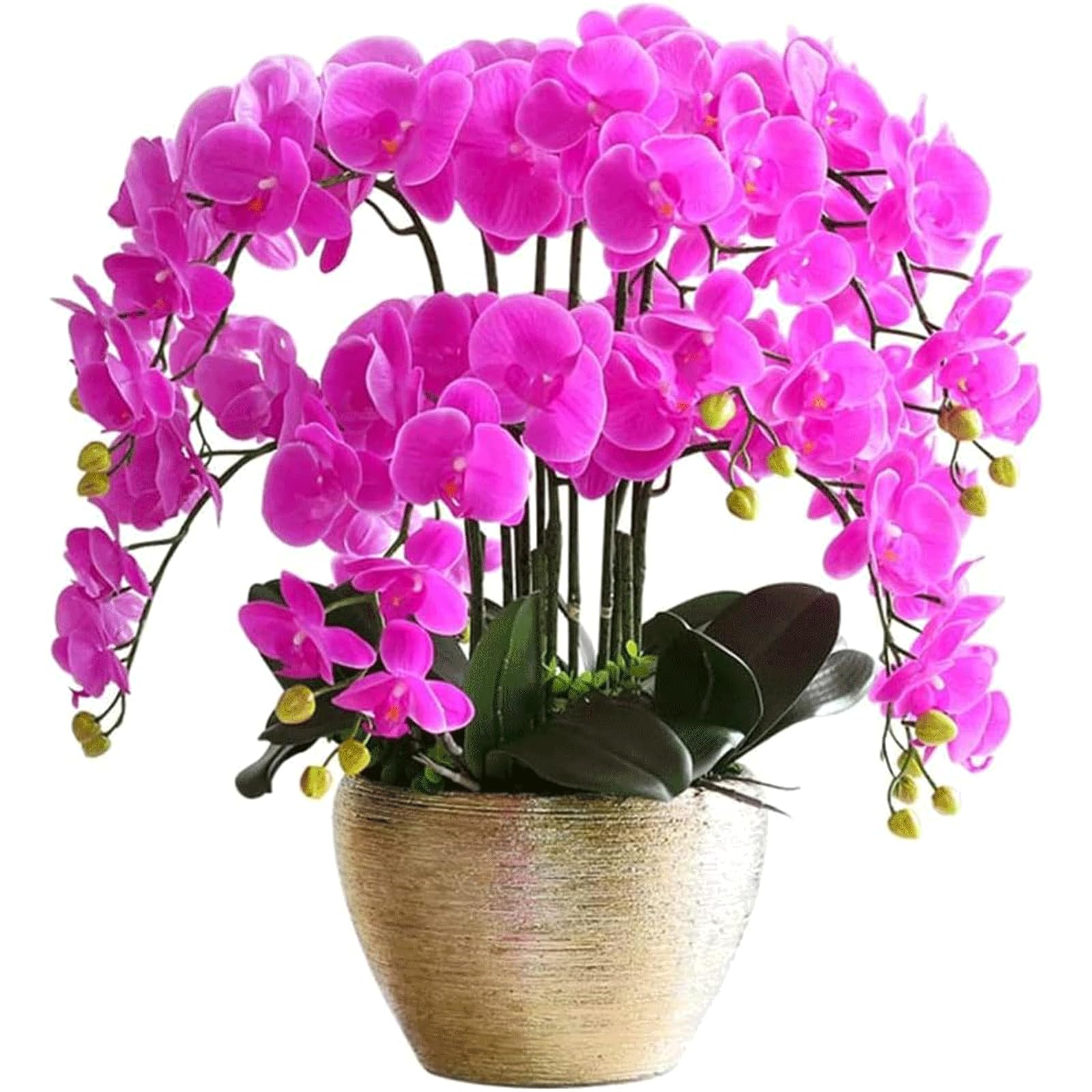 11 Teste di Orchidee Artificiali Eleganti, Fiori Artificiali, Fiori Finti, Decorazioni per tavoli, Feste, Sale da Pranzo e uffici.