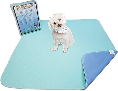 washable pee pads amazon