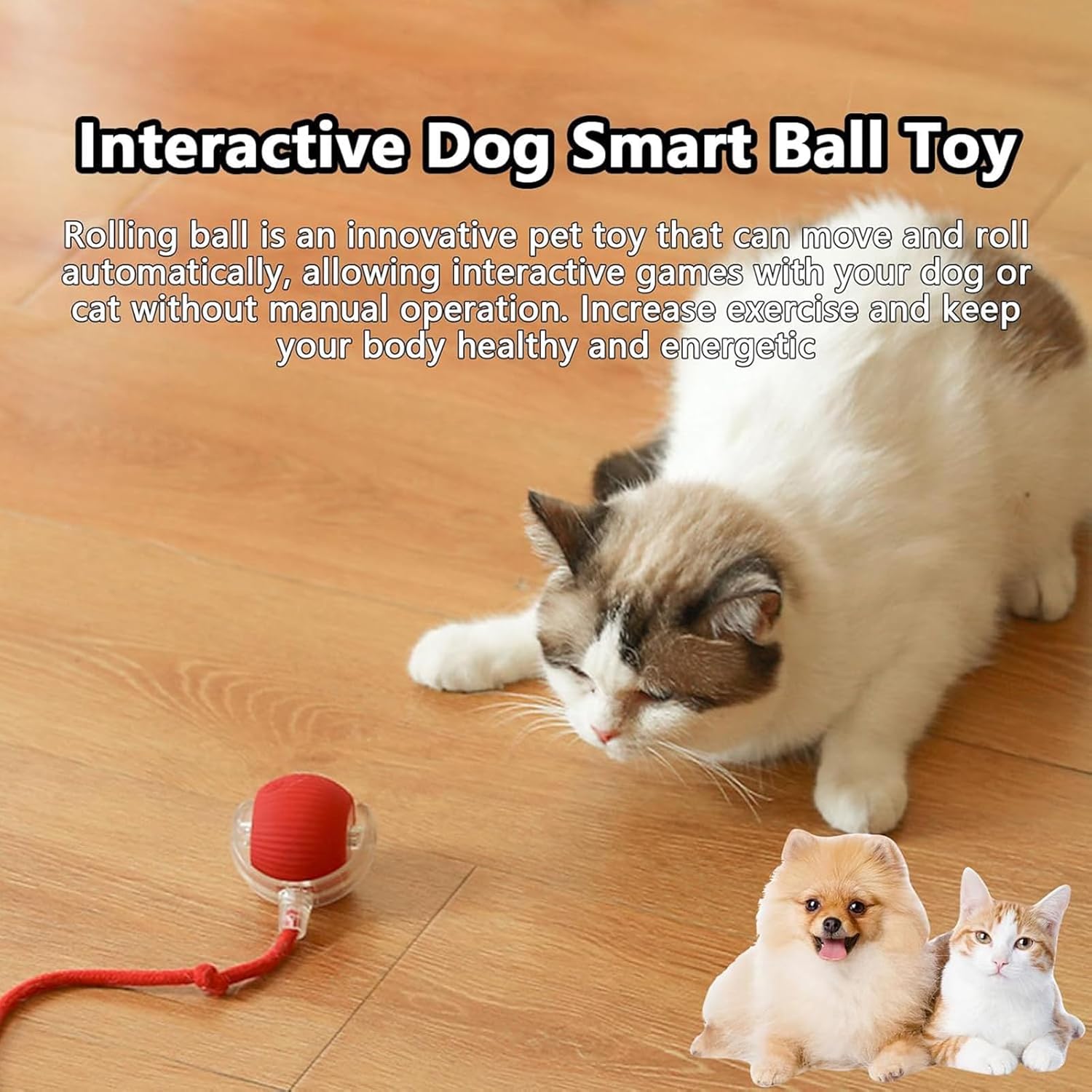 Interactive Pet Toy Ball, Interactive Cat Toys Ball for Indoor Cats Fast Rolling on Carpet, 360° Automatic Rolling BallToy for Dog/Cats