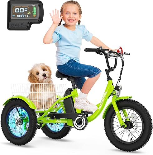 NAIZEA Bicicleta eléctrica para niños, triciclo de 16 pulgadas para niños y niñas de 6 a 12 años, bicicleta eléctrica para niños de 250 W, bicicleta