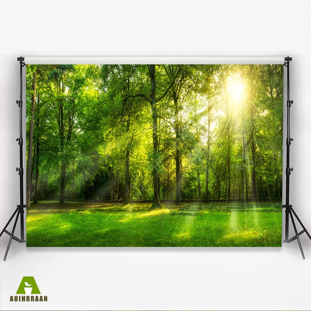 Aoihrraan 2,2x1,5m Spring Forest Scenery Backdrop Jungle Rainforest Green Trees Lawn Sunshine Nature Landscape Photography Background Wedding Shoots Outdoor Picnic Party Decor Photo Studio Props - Image 3