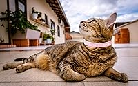 Vista 5 de Rhinestones Cat Dog Collar Bling Diamond with Shiny Buckle Double Layer PU Leather for Cats Kitten Small Medium Dogs (Pink 1, XS)
