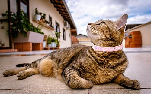 Miniatura 5 de Collar de diamantes de imitación para gatos y perros, con hebilla brillante, doble capa de piel sintética para gatos, gatitos y perros pequeños y