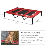 Ver la foto 7