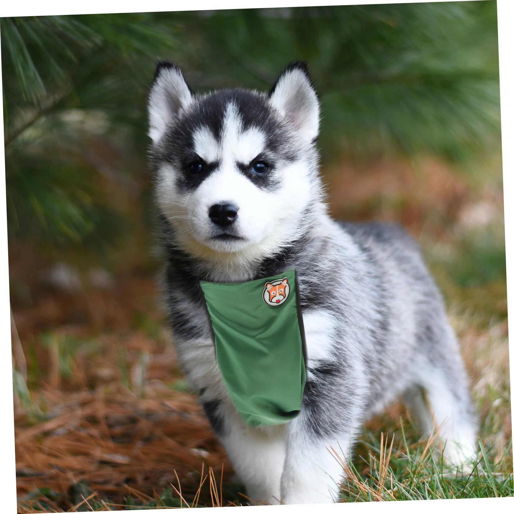 VANZACK Djustable Raincoat for Dogs: Pet Waterproof Clothes Raincoat for Small Dogs Doggy Rain Hoodie