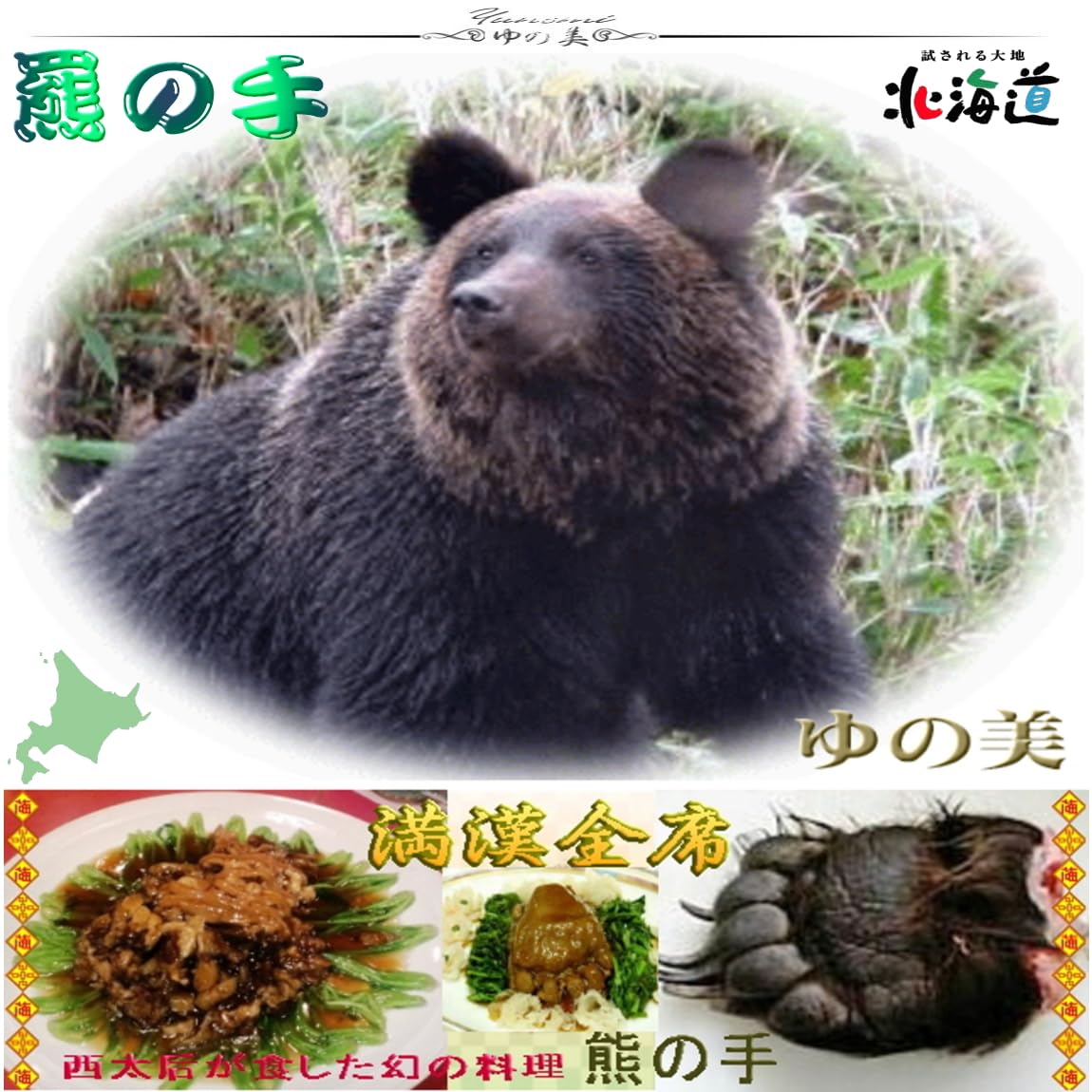 Amazon.co.jp: 熊の手 北海道特産 羆の手or足:毛付き 冷凍約1.0kg前後
