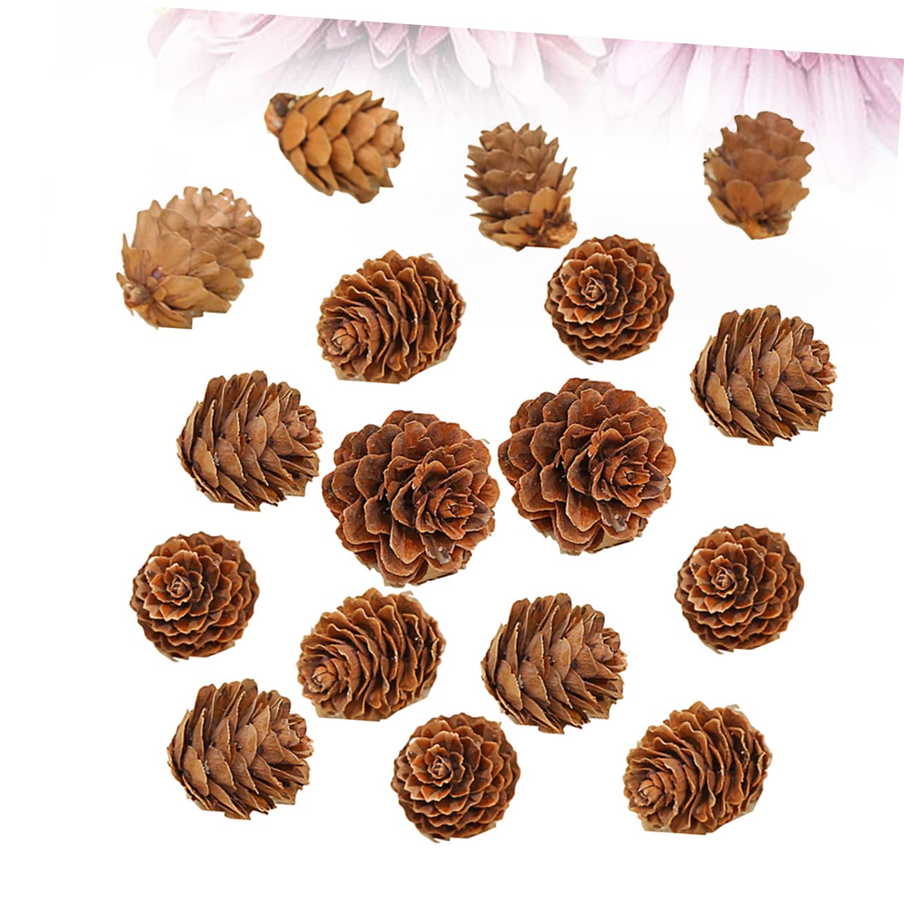 PRETYZOOM 210 Piezas Piñas de Decoraciones Naturales Hogar Piñas Secas para Acción de Gracias y Navidad
