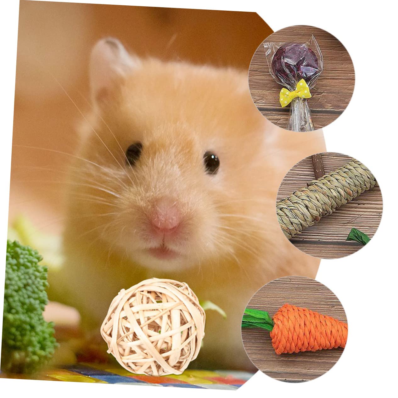 BESPORTBLE 36pezzi Giochi Da Masticare Per Conigli e Criceti Di Accessori Rattan Per Animali Domestici Sicuri e Resistenti Per Cavi e Cincillà Divertenti e Stimolanti Per Gioco e Esercizio
