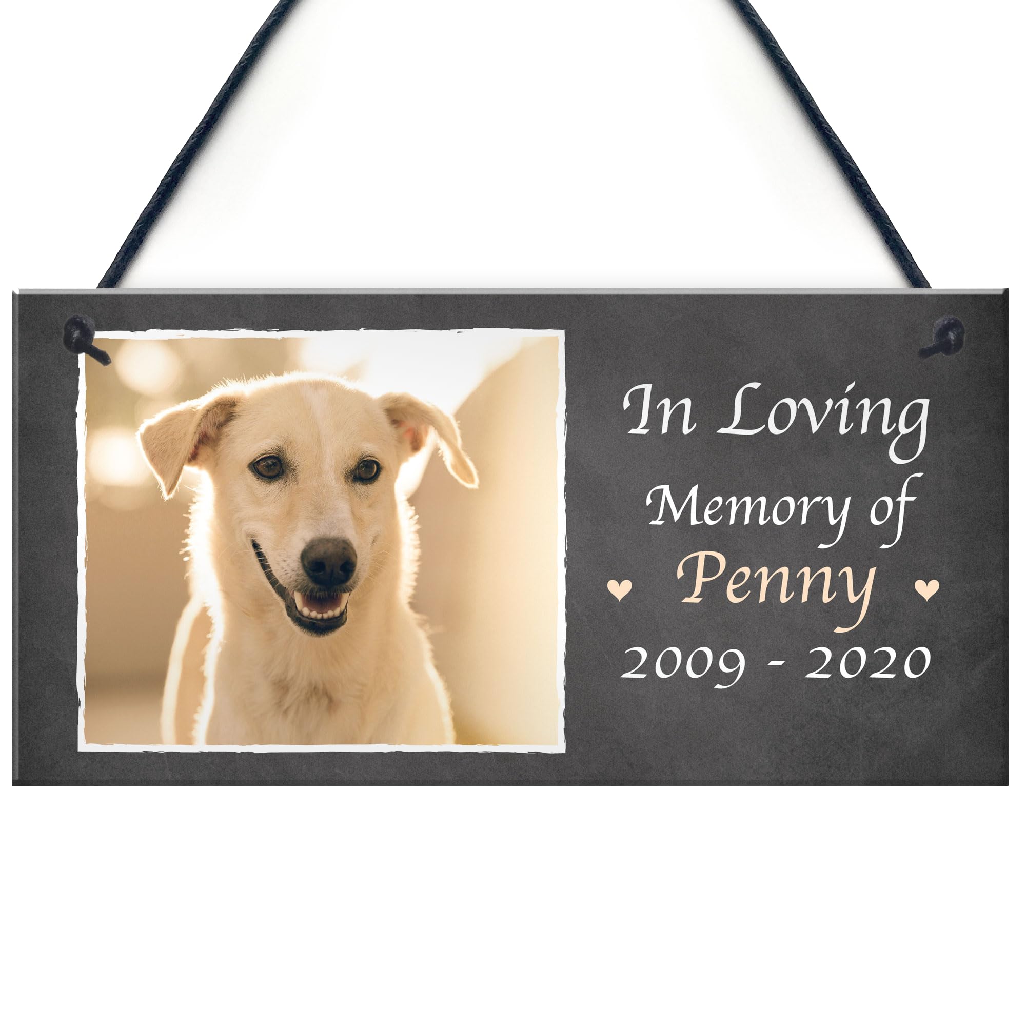 Red Ocean Personalised Photo Plaque Gift For Dog Animal Lover Novelty Dog Gifts Accessories