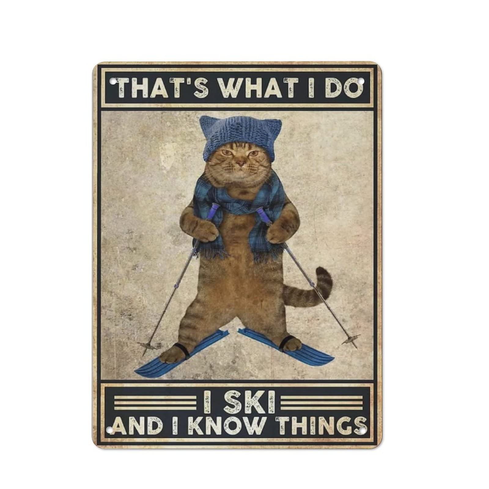 AOOEDM I Ski And I Know Things Metal Tin Sign for Home Bar Pub Kitchen Wall Art Deocr Man Cave Vintage Metal Sign Poster Plaque Signs Quotes Sign