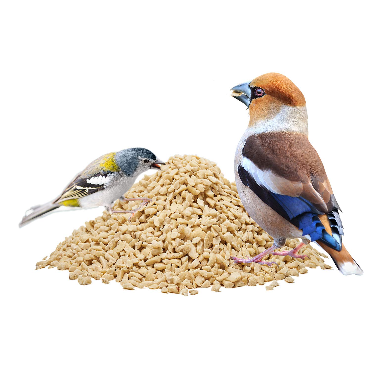 Paul´s Mühle Erdnüsse für Vögel, Erdnusskerne gehackt, 10 kg Neue Ernte 2025