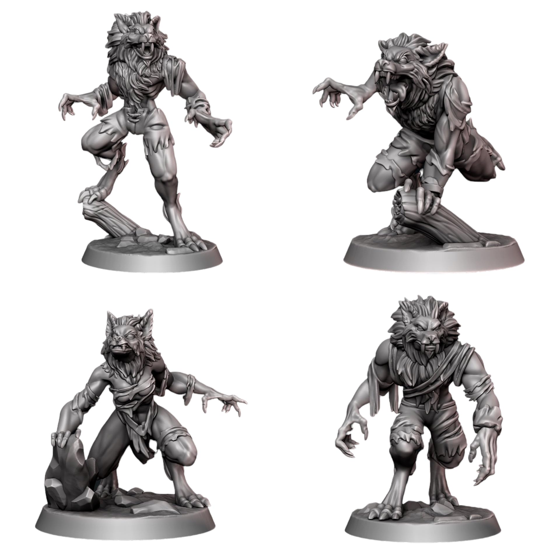 Werewolf Miniatures Set | Galaad | Tabletop TTRPG Fantasy Gaming Miniatures