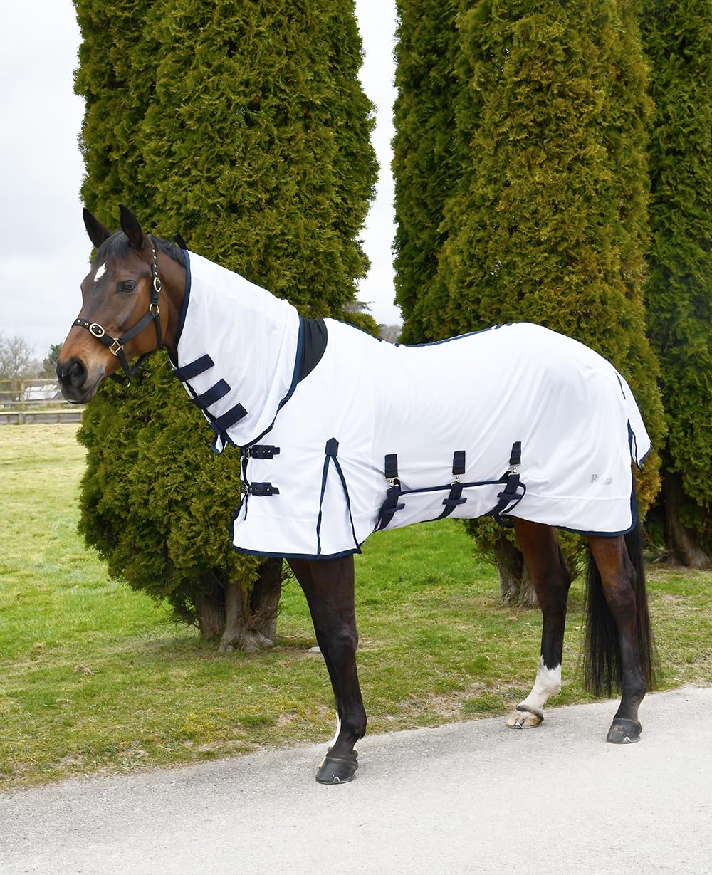 Rhinegold Africa Combo Mesh Fly Rug-6/6-White