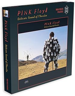 Pink Floyd Delicate Sound of Thunder (500 Piece Jigsaw Puzzle)
