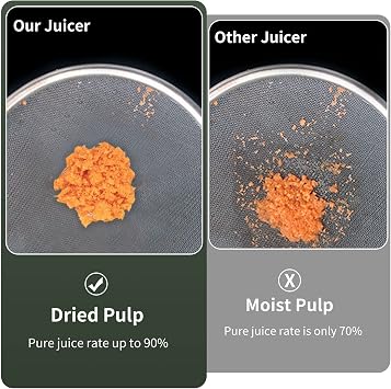 Masticating Juicer Machines, Cold Press Slow Juicer Machines Easy to Clean, High Juice Yield Vegetable Juicer for Beet Carrot, Orange Juicer with Automatic Pulp Ejection and Quiet Motor Juicer