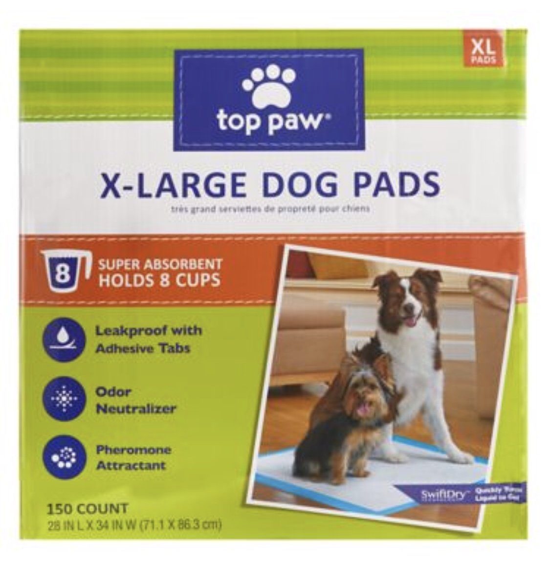 puppy apartment large