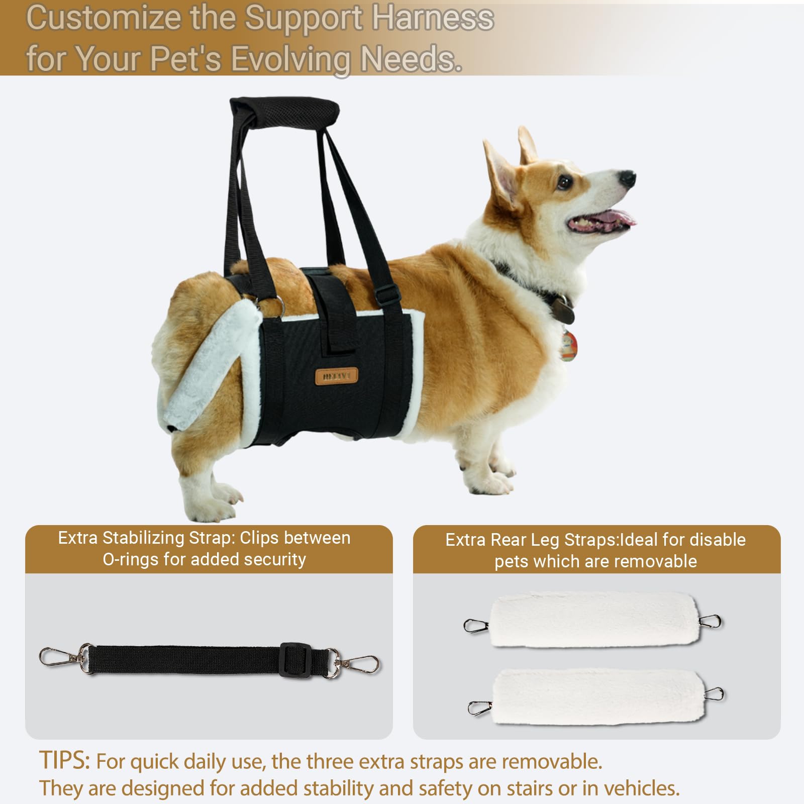 Arnés de elevación para perros grandes, soporte trasero ajustable para la pierna con acolchado y hebilla fija antideslizante, ayuda de recuperación de cirugía de displasia de cadera/ACL/TPLO, arnés
