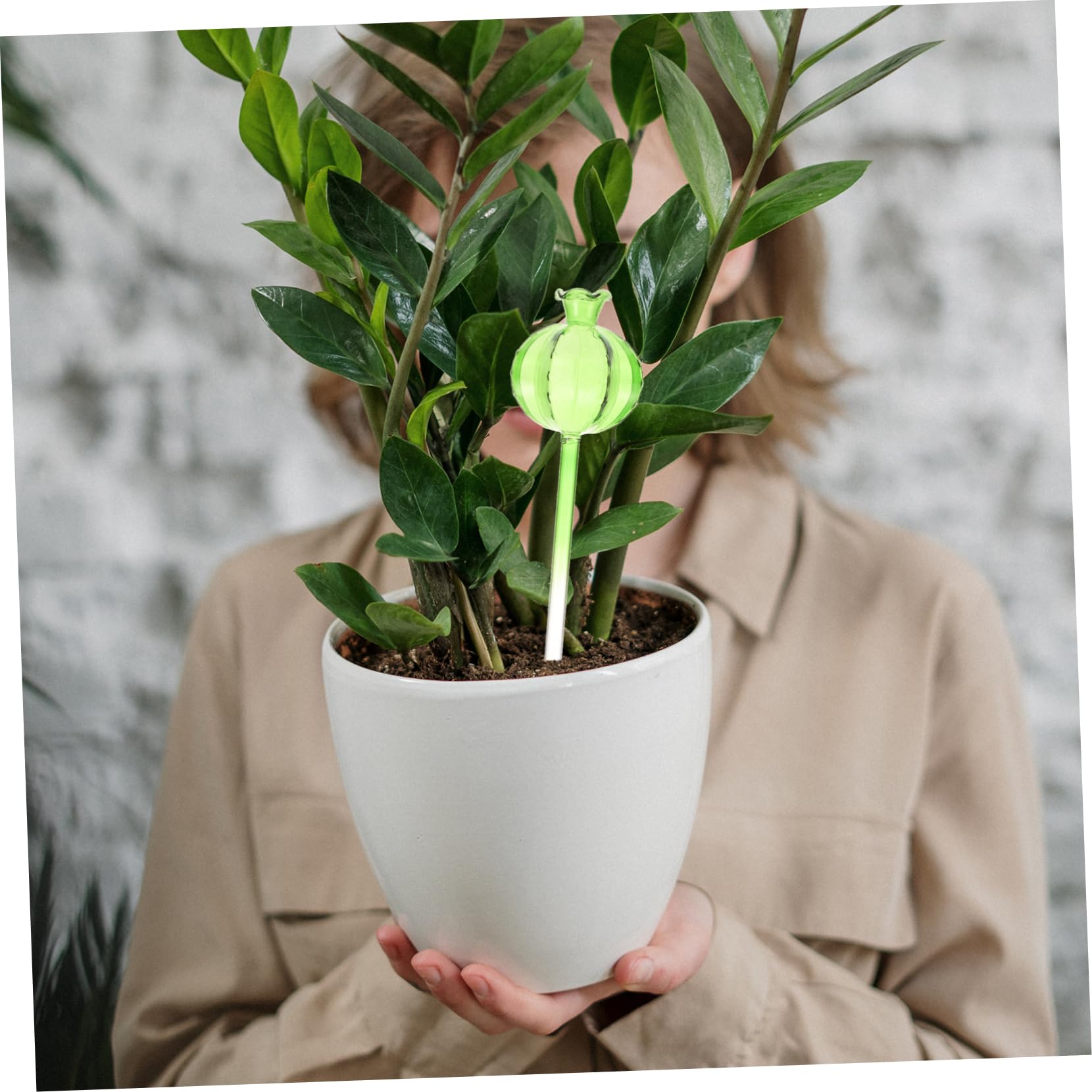POPETPOP 12 Pièces Pot de Fleurs à arrosage Automatique Plante d'intérieur Jardinage Outillage Pot de rempotage Pots de Fleurs bulbes d'arrosage des Plantes Globes d'arrosage Un Verre