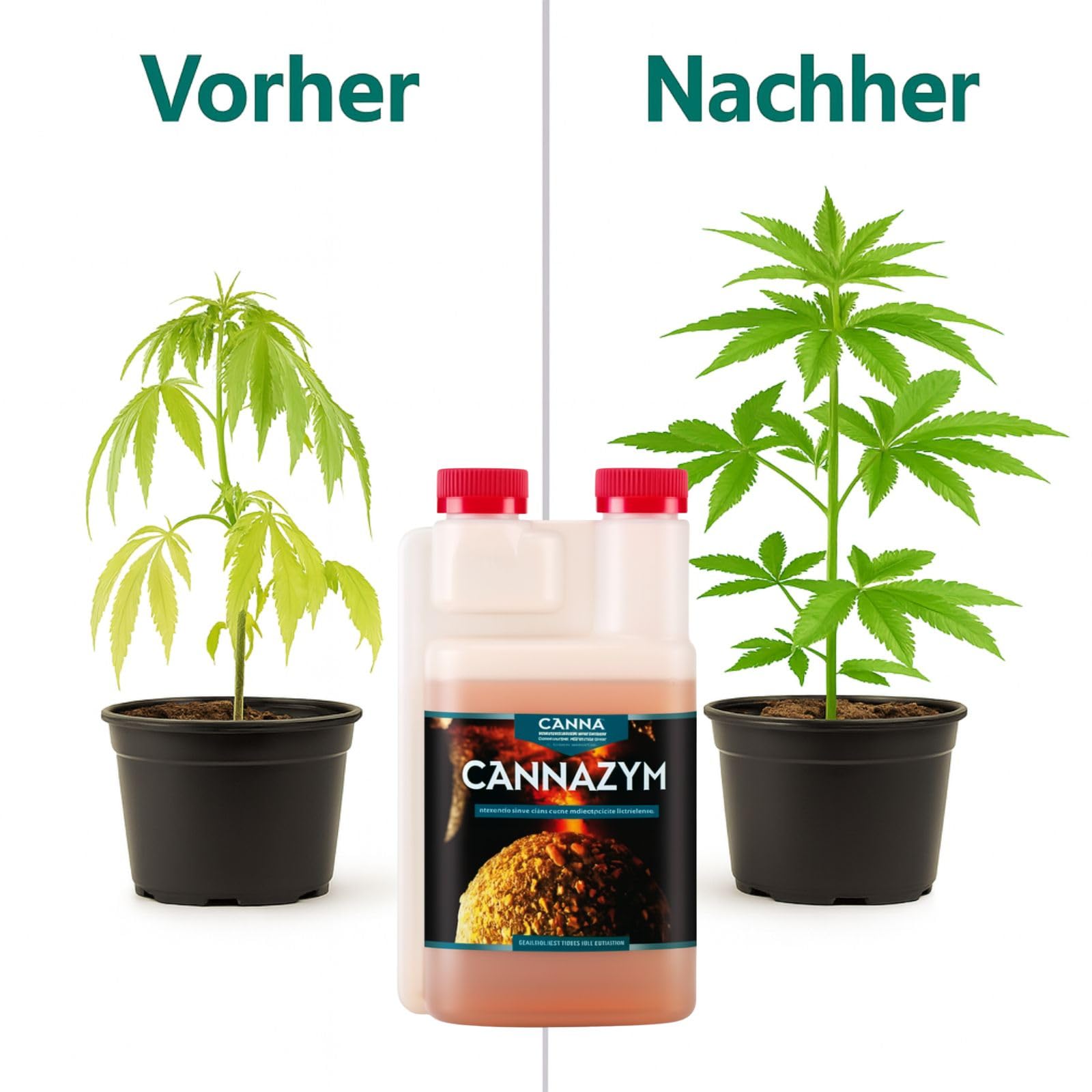 Weedness Canna Cannazym 5 Liter - Grow Anbau Indoor Dünger Substrat Reiniger Erde Flüssigdünger Organischer Bio