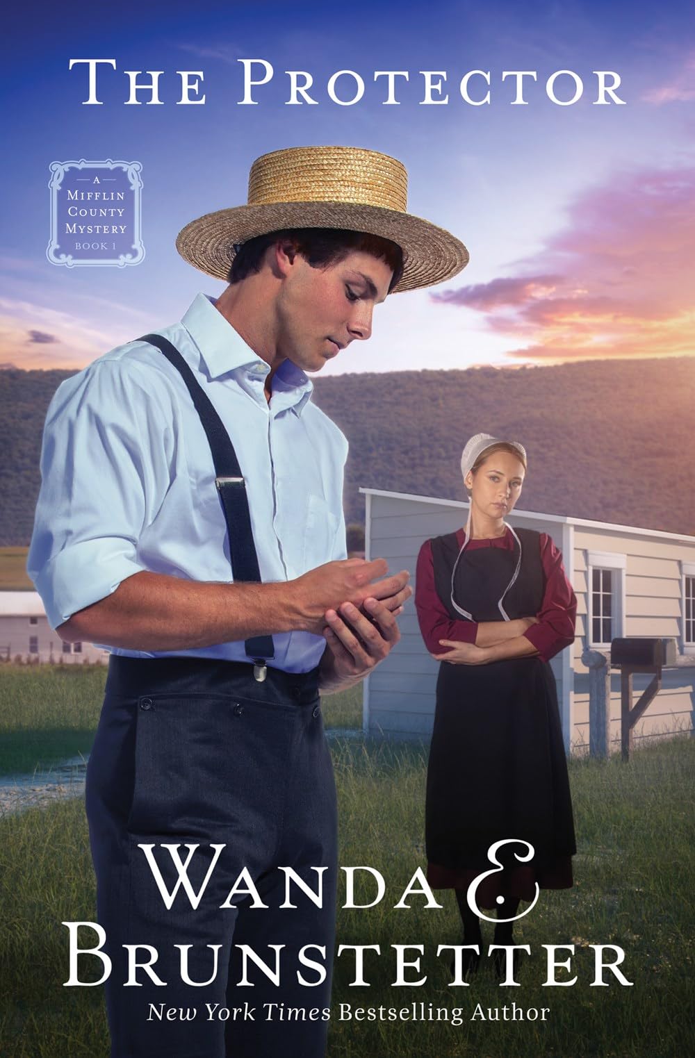 The Protector: A Mifflin County Mystery - Book 1 Volume 1