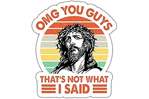 Akira OMG You Guys That's Not What I Said Stickers