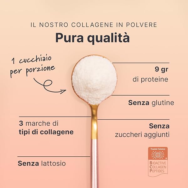 SHEKO Collagene Idrolizzato Premium 450g - Natural Bioactive Collagen Powder - Peptidi di tipo 1, 2, 3 - Collagene in polvere - Qualità purissima - Solubilità ottimale - Proteine in polvere - 3