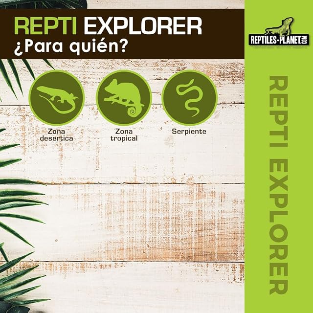 Foto 5 de 8 de Investigador de Reptiles de Terrario, L 62cm x 92cm