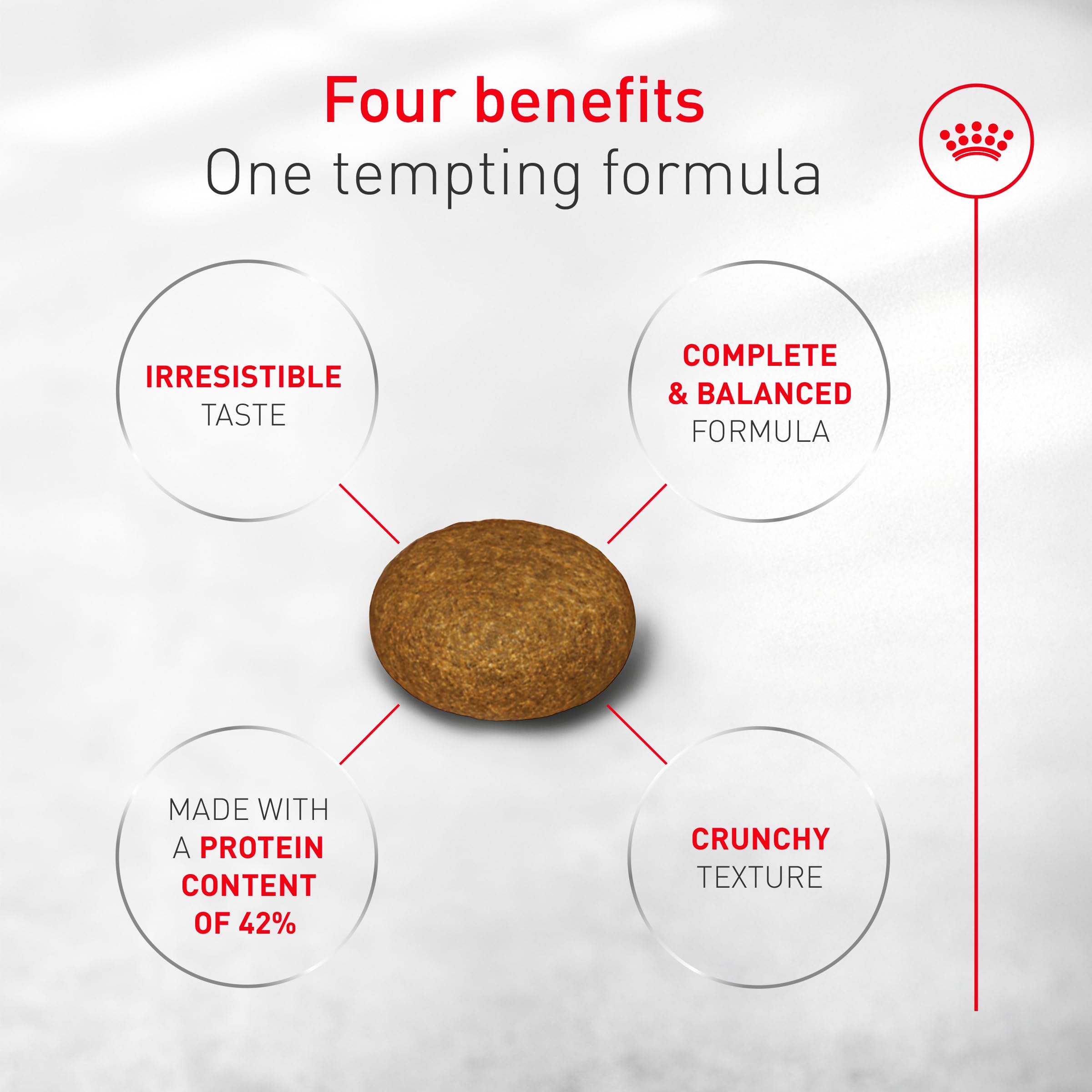 Royal Canin Fussy Katzenfutter trocken für ausgewachsene Katzen, Eiweißreiche Trockenfutter für wählerische Esser, Geflügelbasis, Unterstützt gesundes Gewicht und Harngesundheit, 3,2 kg Beutel